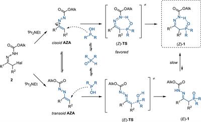 Michael addition of P-nucleophiles to azoalkenes provides simple access to phosphine oxides bearing an alkylhydrazone moiety